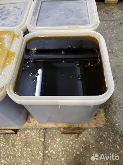 Свежий мёд гречишный Опт