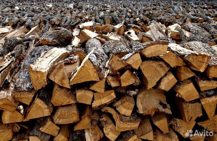 Дрова ольха осина