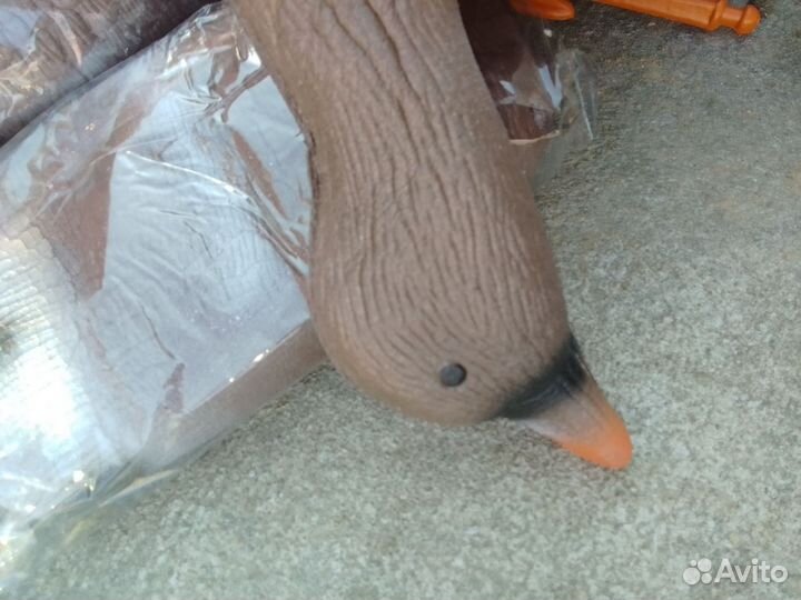 Гуси для охоты