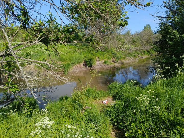 Участок 15 сот. (СНТ, ДНП)