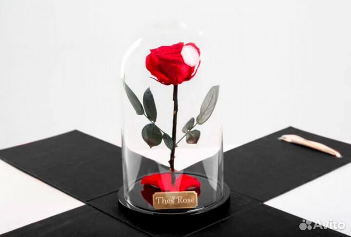Роза в колбе
