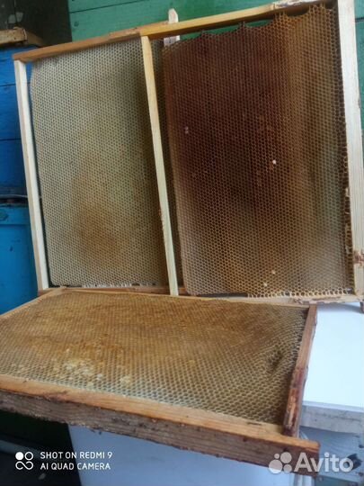 Рамки с сушью