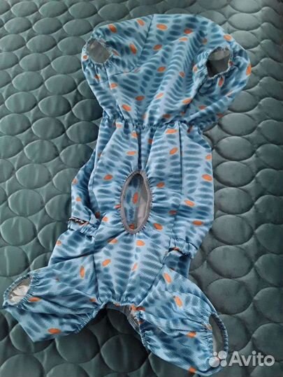 Дождевик для корги