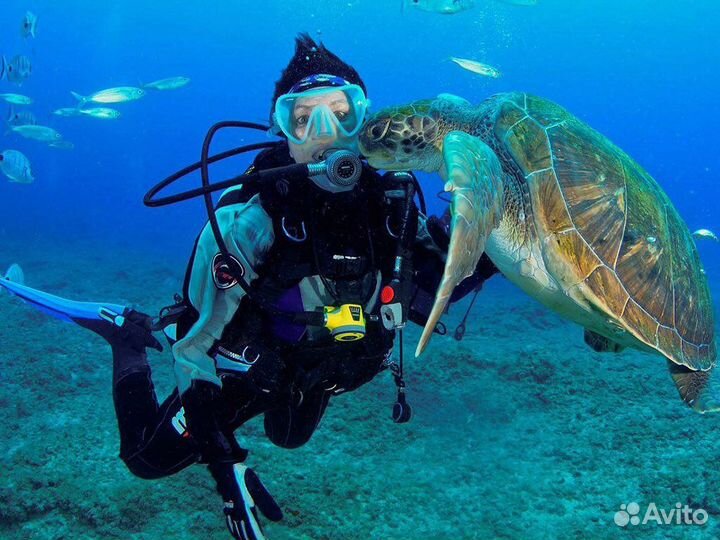 Дайвинг в Сочи/Адлере