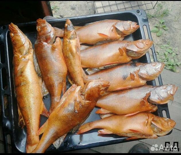 Коптильня горячего копчения