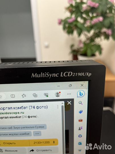 Монитор NEC LCD2190UXp