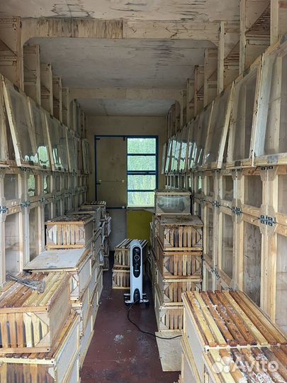 Павильон для пчел