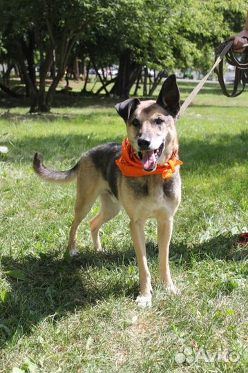 Старый Пашка надеется на чудо