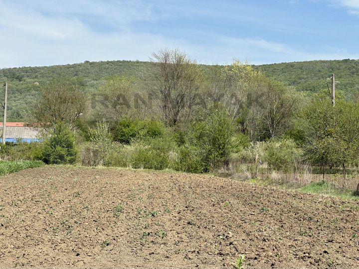 Участок 18,9 сот. (личное подсобное хозяйство (лпх))