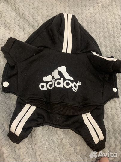 Одежда для собак