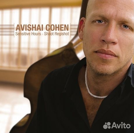 Avishai cohen - Sensitive Hours - Shaot Regish (L