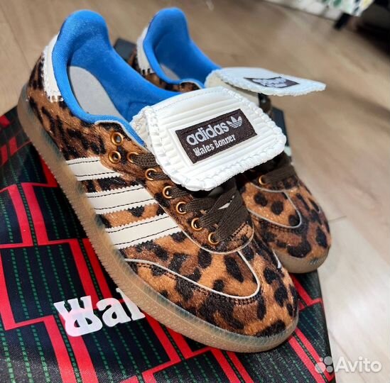 Кеды adidas