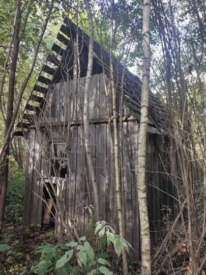 Участок 10 сот. (СНТ, ДНП)