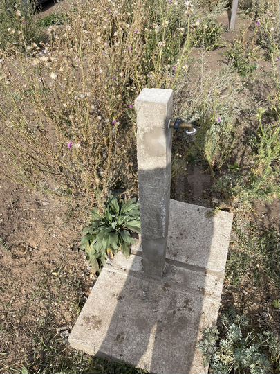 Участок 21,5 сот. (ИЖС)