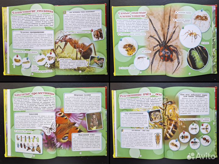 Детская энциклопедия