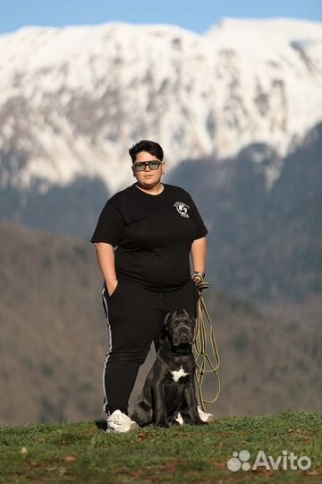 Кинолог зоопсихолог онлайн/выезд