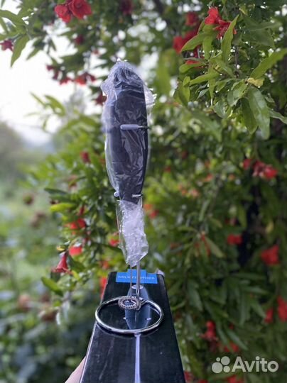 Капучинатор