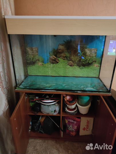 Аквариум с тумбой на 200 л