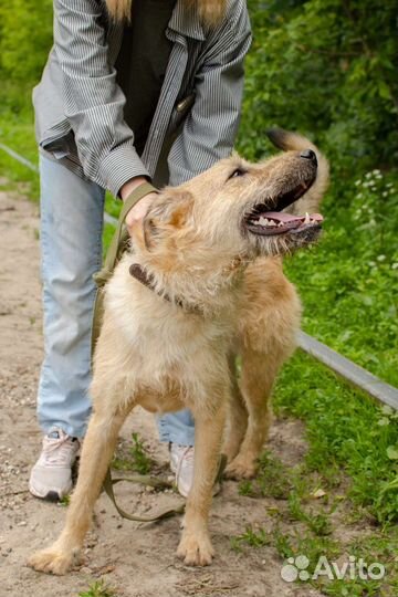 Подросток Олаф ищет дом
