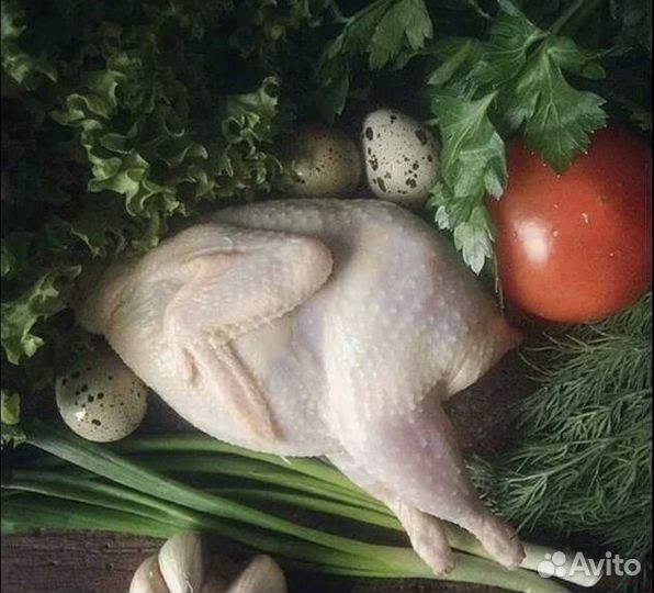 Мясо перепела