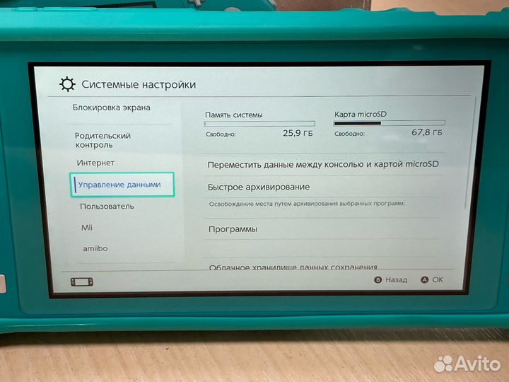 Игровая приставка Nintendo Switch Lite Чип