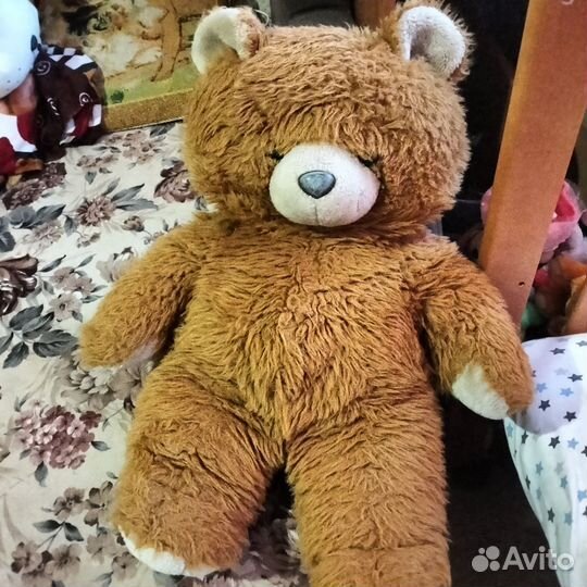 Медвед большой