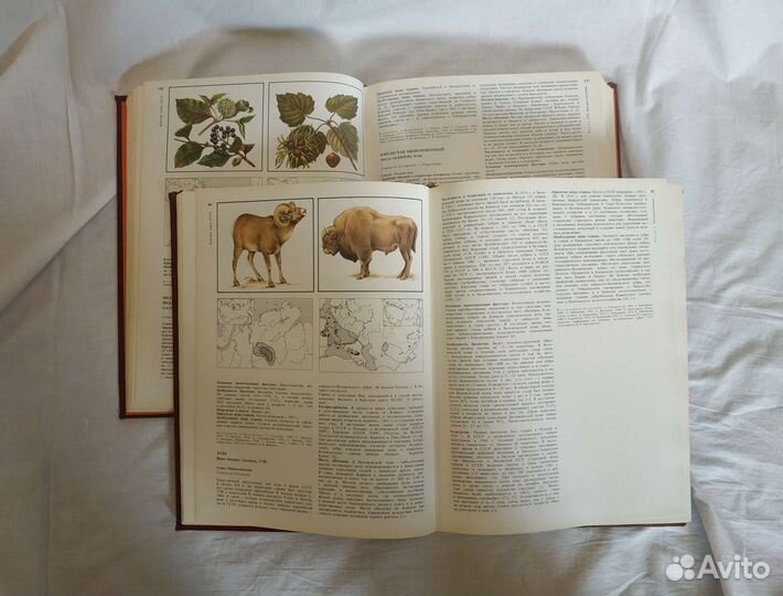 Красная книга СССР, двухтомник