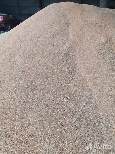 Отходы чечевицы гороха пшеницы