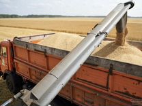 Инвестиции в зернотрейдинг. Ежемесячные выплаты