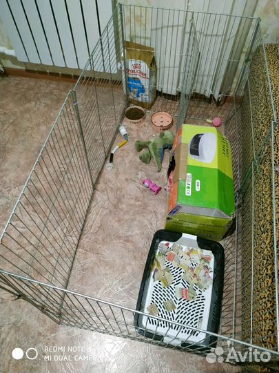 Сборно-разборные клетки-вольеры