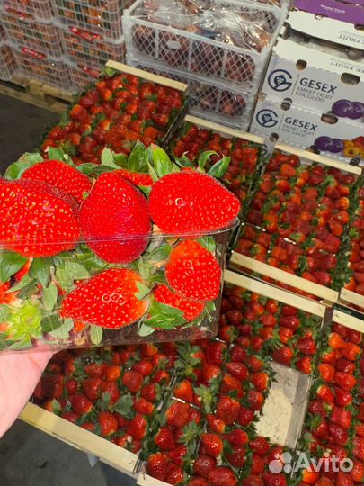 Клубника свежая с доставкой