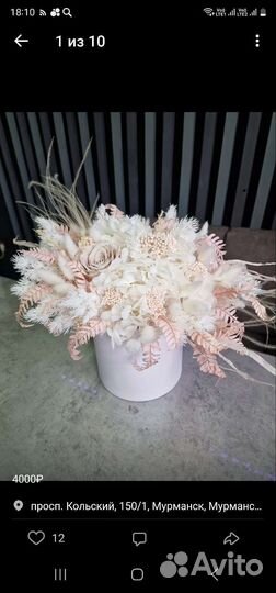 Сухоцветы цветы