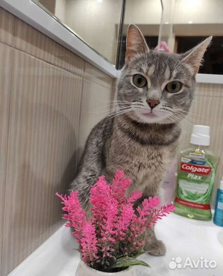 Варюша нежная девочка