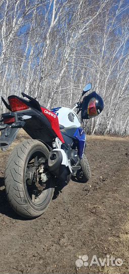 Omaks n10