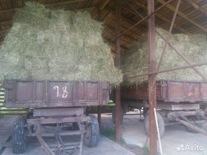 Сено в кипах