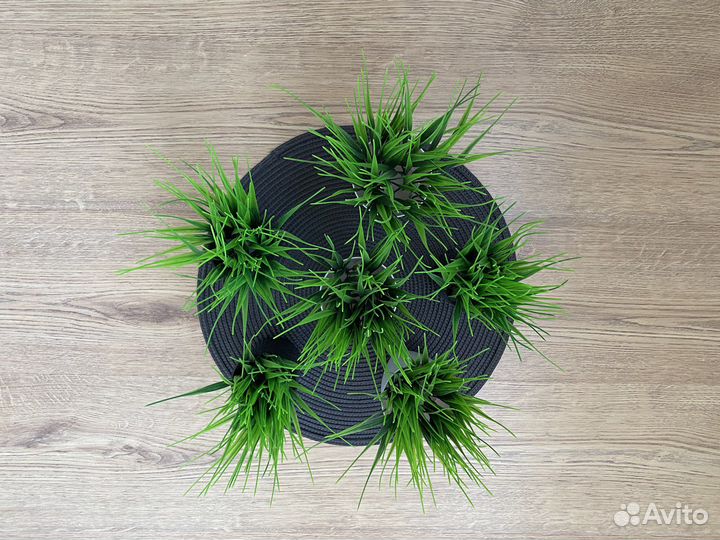 Зелень в горшочке стаканчике осока