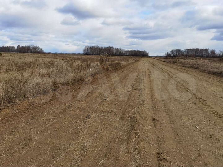 Участок 22,4 сот. (СНТ, ДНП)