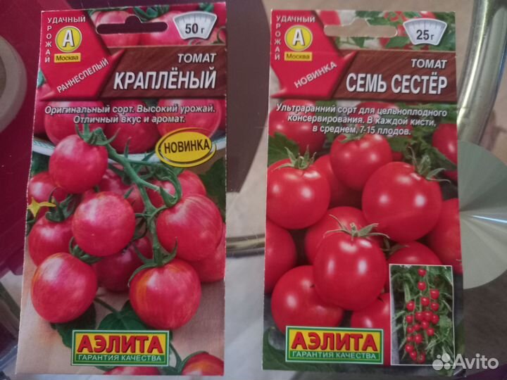 Рассада томатов