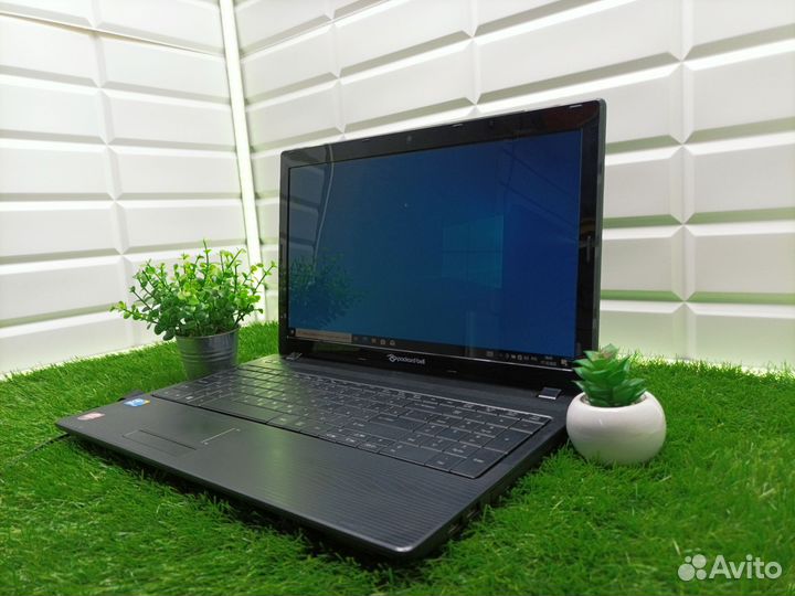 Ноутбук Packard Bell Pew91 с Гарантией