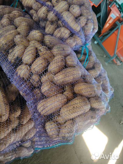 Отличный картофель