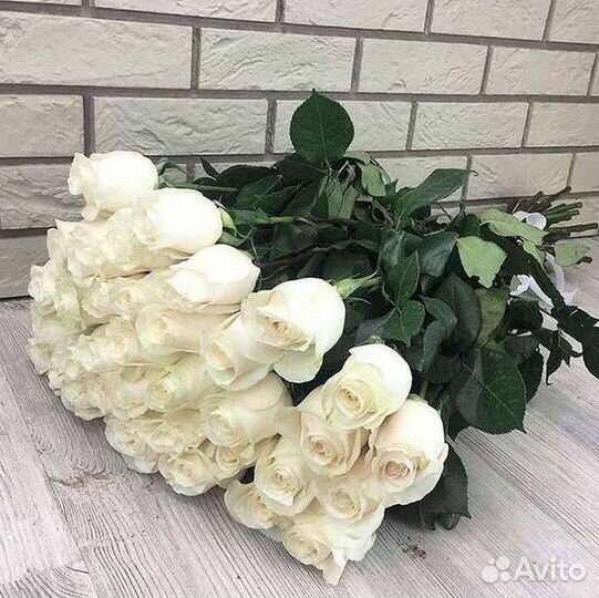 101 Роза Цветы Букеты 51 25 Роз Доставка