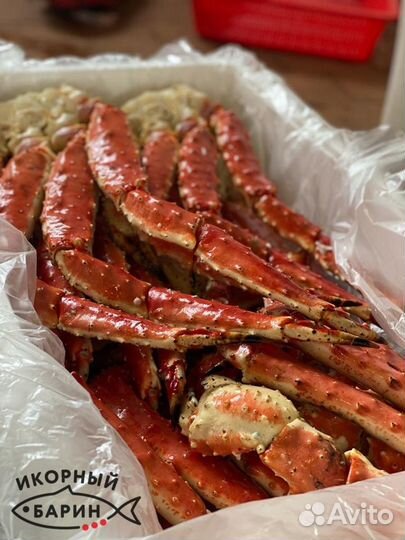 Краб камчатский