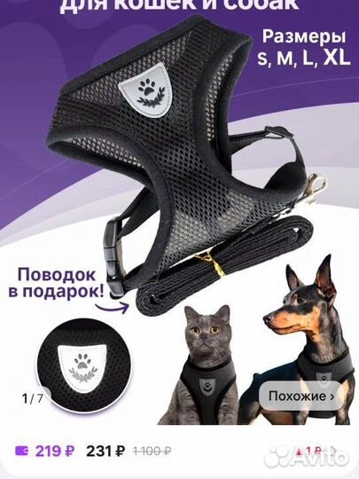 Шлейка с поводком