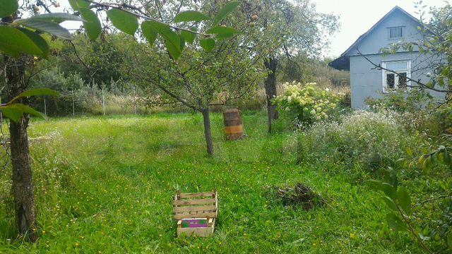 Рязань садоводческие товарищества. Садовое товарищество Рязань!. Ул. Прудная. Рязань пос Соколовка заброшенный плодовый сад. Частные дома в городе Рязани(лесок) Соколовка.