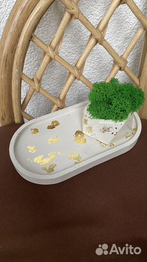 Декор поднос кашпо со мхом