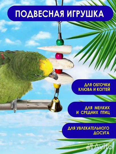 Минеральный камень, сепия, панцирь каракатицы