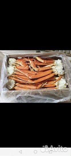 Икра красная, рыба и морепродукты