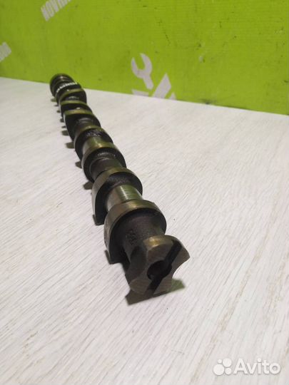 Распредвал выпускной Форд Фокус 1