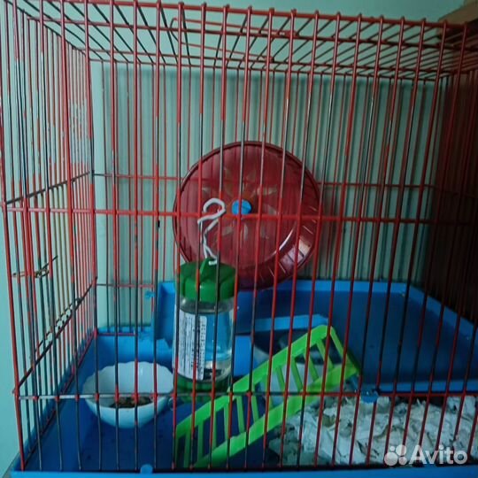 Хомяк с клеткой