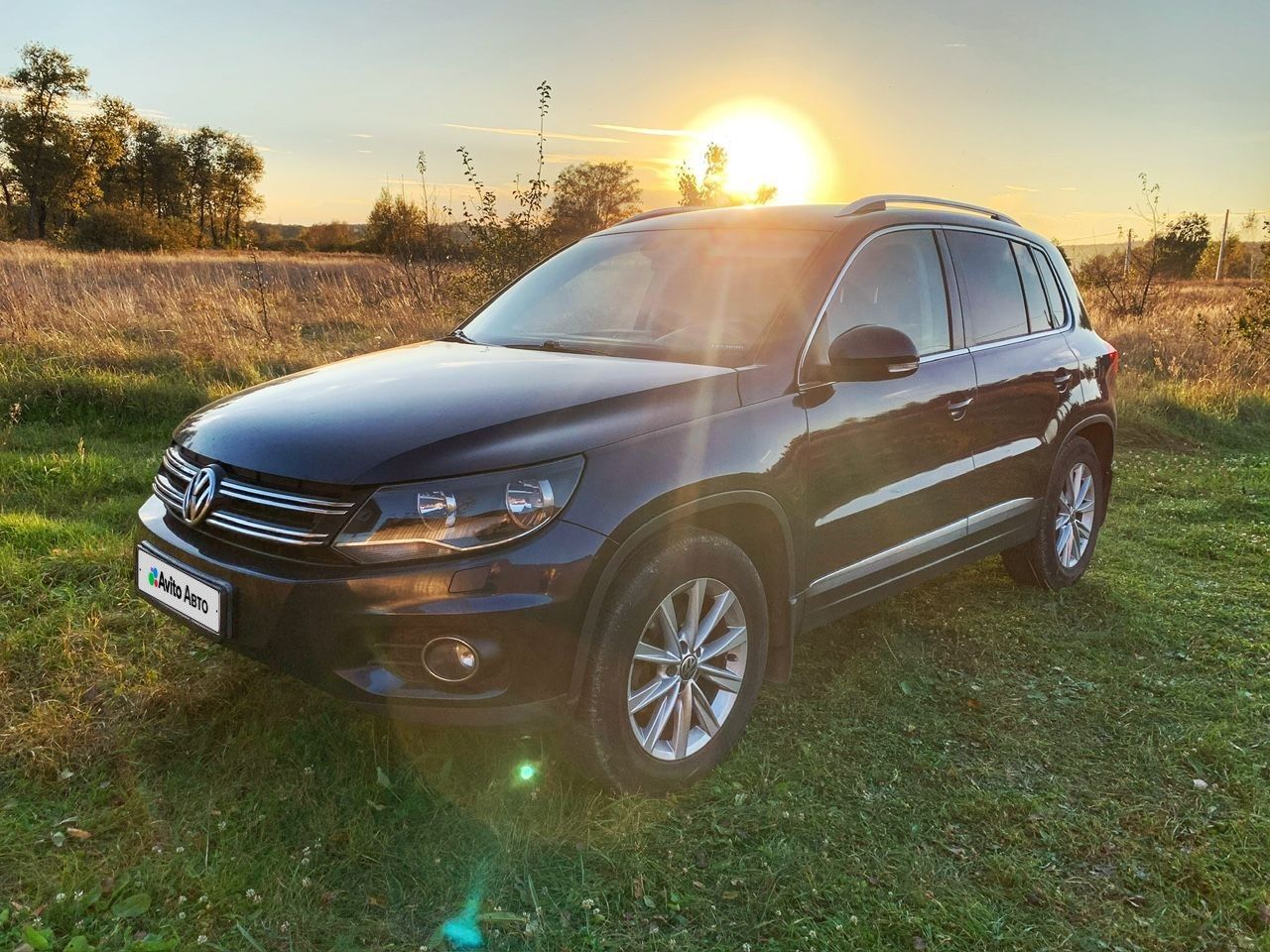 Volkswagen Tiguan: фото владельца